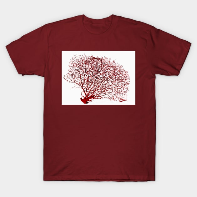 Red coral T-Shirt by IKIosifelli